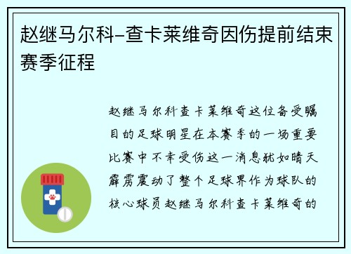 赵继马尔科-查卡莱维奇因伤提前结束赛季征程